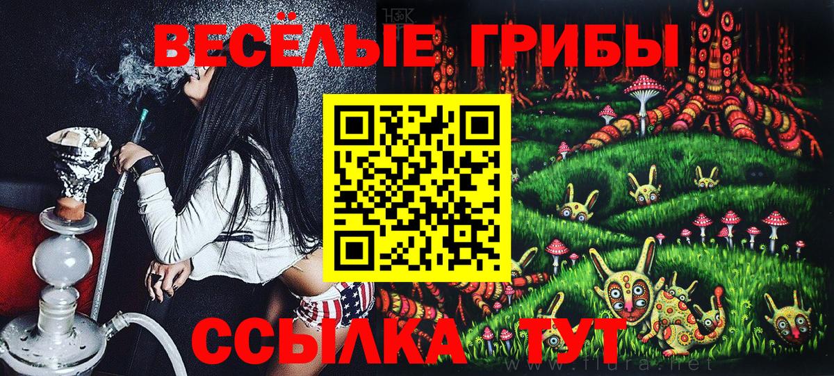 Псилоцибиновые грибы MAGIC MUSHROOMS  Вход с VPN  Гай  Галлюциногенные грибы мицелий 