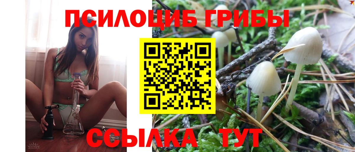 Галлюциногенные грибы мицелий Гай